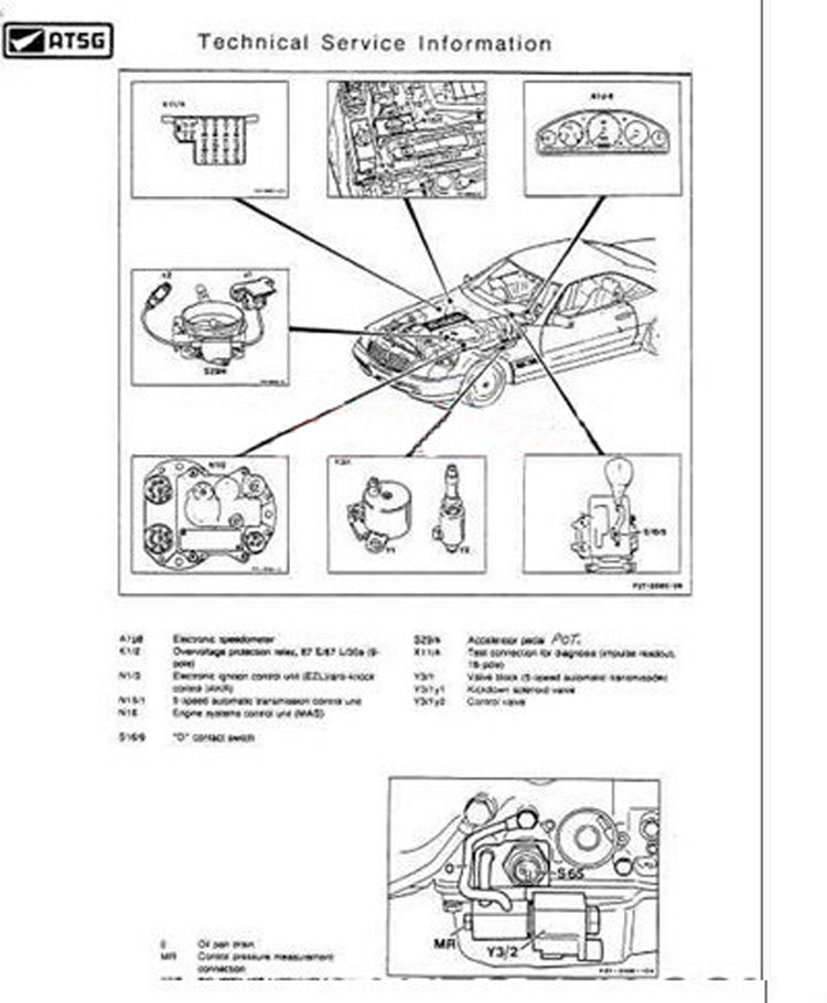 Installazione gratuita ATSG 20 - Auto Repair Shop Software recensione e prezzo